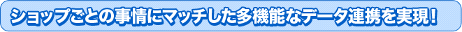 多機能なデータ連携を実現